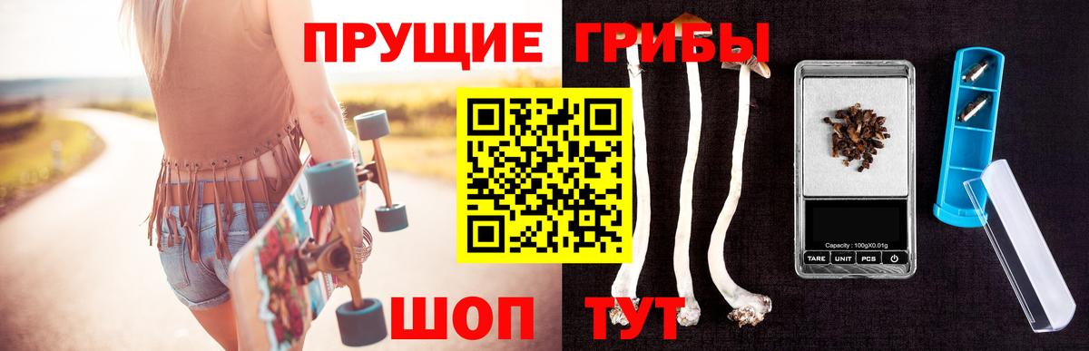 Псилоцибиновые грибы мицелий  Вход с VPN  купить наркоту  Северск 