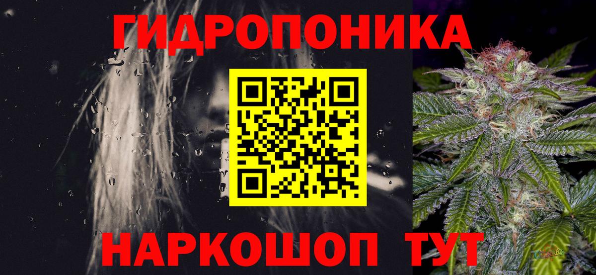 Бошки Шишки Amnesia Северск